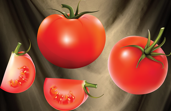tamato_PNG2688