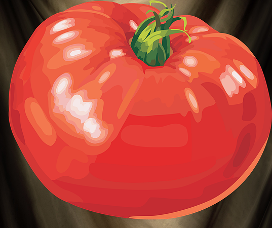 tamato_PNG2692