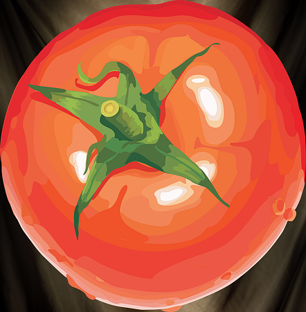 tamato_PNG2694