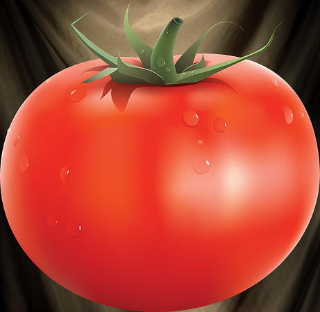 tamato_PNG2700