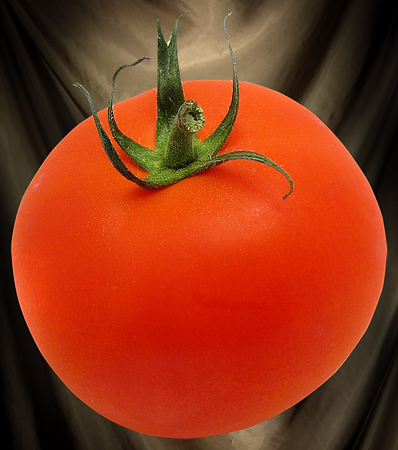 tamato_PNG1380822158