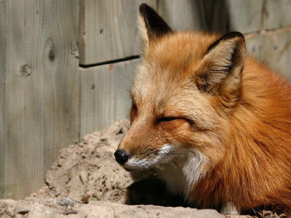 fox19_1600x1200